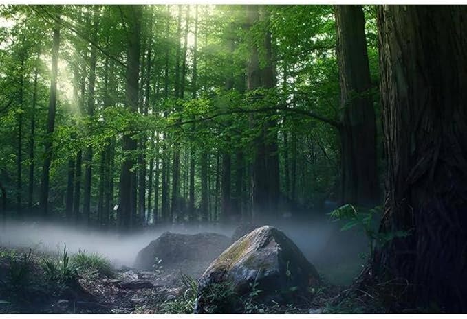 YTTBDBD Forest Mist Large Silk Wall Murals for Living Room, Green Tree Stone Removable Mural for Bedroom,Wall Mural Wallpaper for Kids' Room-Not Peel n' Stick-99 W x 66" H/251x168cm-Silk