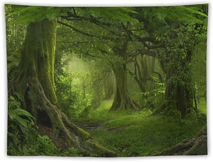 ZhiRain Misty Forest Tapestry Wall Hanging Green Tree in Jungle Forest Nature Scenery Woodland Backdrop Tapestries Home Decor for Living Room Bedroom Farmhouse Apartment Dorm 60"x80"