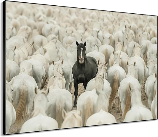 36"x46" XL Framed Wall Art - Unique Black Horse Amidst White Herd Animal (Frame Assembly Required)