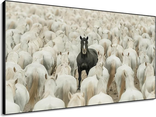 46"x72" XL Framed Wall Art - Unique Black Horse Amidst White Herd Animal (Frame Assembly Required)