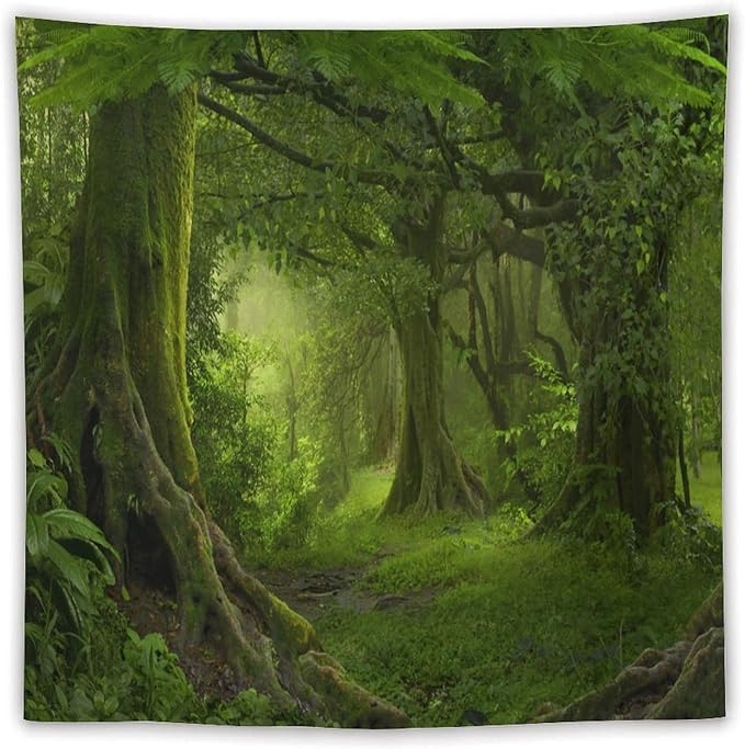 ZhiRain Misty Forest Tapestry Wall Hanging Green Tree in Jungle Forest Nature Scenery Woodland Tapestries Home Decor for Living Room Bedroom Farmhouse Apartment Dorm 60"x60"