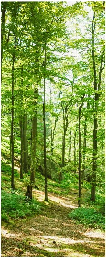 3D Door Wallpaper Self-Adhesive Sticker - Forest Poster Premium PVC Waterproof Wall for Bedroom Living Room Decoration 95 x 215 cm