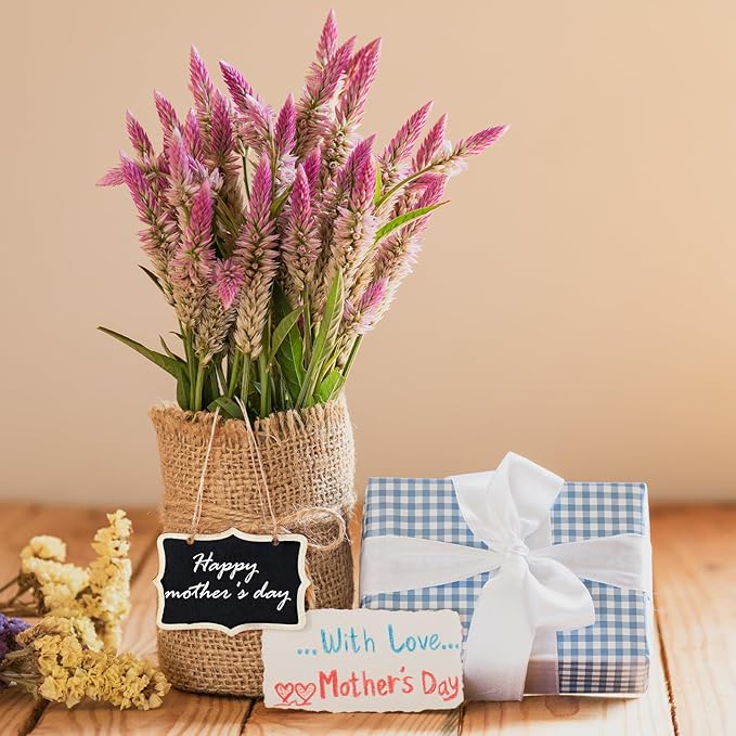 10 Pcs Mini Chalkboard Signs for Food Reusable Small Hanging Chalk Board Sign Erasable, Double-Sided Food Labels for Party Buffet Wooden Name Tags for Message Board Signs, Price, Plants Black