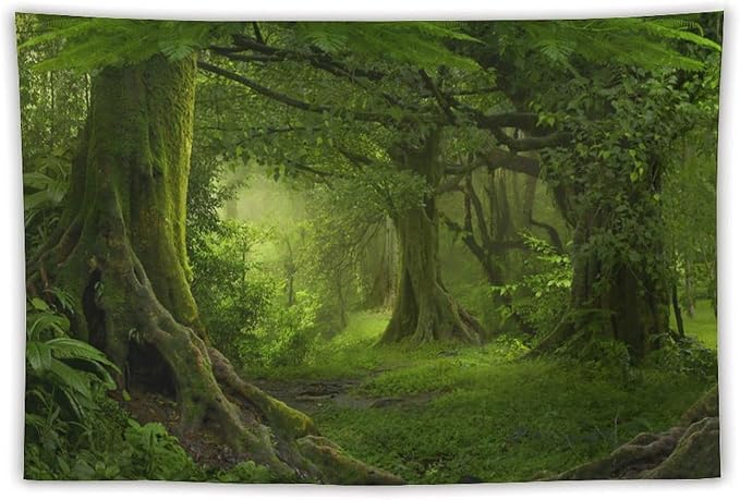 ZhiRain Misty Forest Tapestry Wall Hanging Green Tree in Jungle Forest Nature Scenery Woodland Tapestries Home Decor for Living Room Bedroom Farmhouse Apartment Dorm 60"x90"
