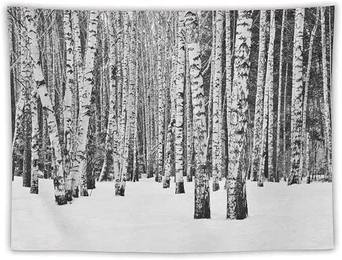 ZhiRain Winter Forest Tapestry Wall Hanging Birch Grove Forest Landscape Leafless Tree Branches Scenic Nature Tapestries Home Decor for Living Room Bedroom Farmhouse Apartment Dorm 60"x80"