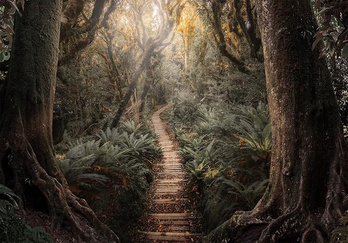 artgeist Wall Mural Abstract 77x55 in - Peel and Stick Self-Adhesive Wallpaper Removable Large Sticker Foil Wall Decor Print Design Mural Jungle Forest Nature Path b-C-10323-a-a