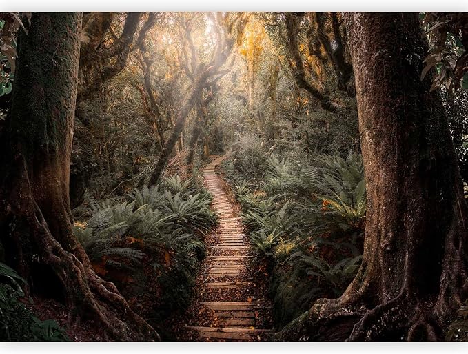 artgeist Wall Mural Abstract 77x55 in - Peel and Stick Self-Adhesive Wallpaper Removable Large Sticker Foil Wall Decor Print Design Mural Jungle Forest Nature Path b-C-10323-a-a