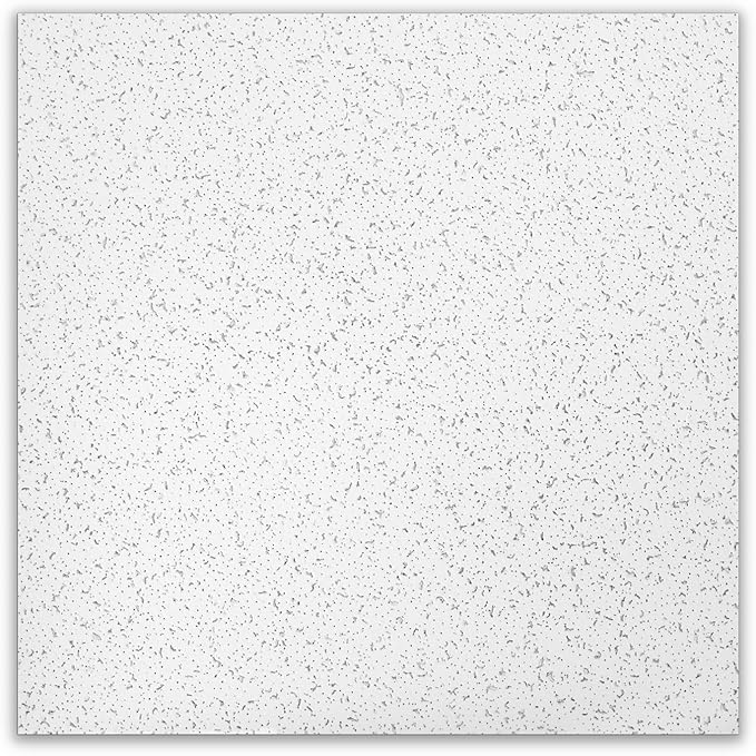 Armstrong Ceiling Tiles; 2x2 Ceiling Tiles - 16 pc White; Acoustic Ceilings for Suspended Grid; Random Textured 935