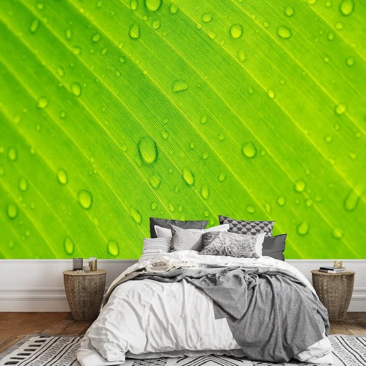 wall26 - Closeup Drops of Water Under Banana Leaf Texture - Removable Wall Mural Self-Adhesive Large Wallpaper - 100x144 inches