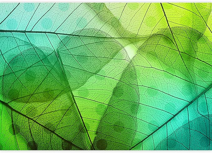 wall26 - Macro Leaves Background Texture Over Spotted Background. - Removable Wall Mural | Self-Adhesive Large Wallpaper - 100x144 inches