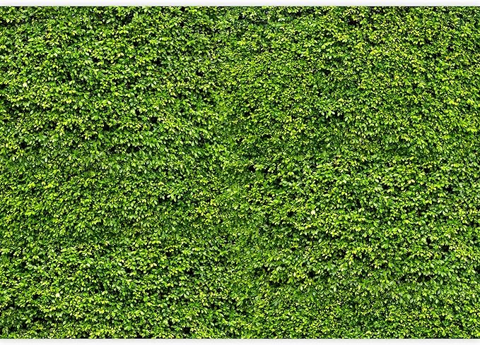 wall26 Wall Mural Garden Lawn Green Grass Natural Scenery Removable Self-Adhesive Large Wallpaper - 66x96 inches